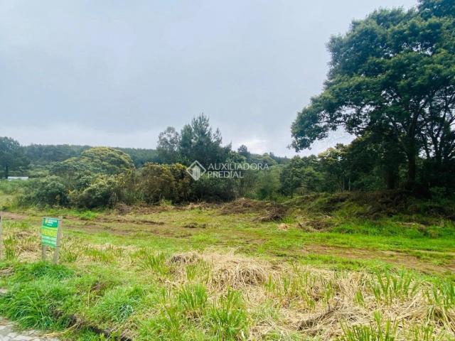 Terreno / Lote para Venda em São Francisco de Paula/RS Cipó