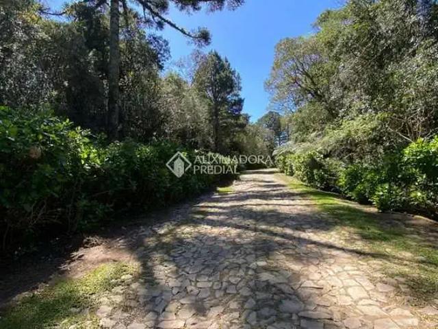 Terreno / Lote para Venda em São Francisco de Paula/RS Alpes
