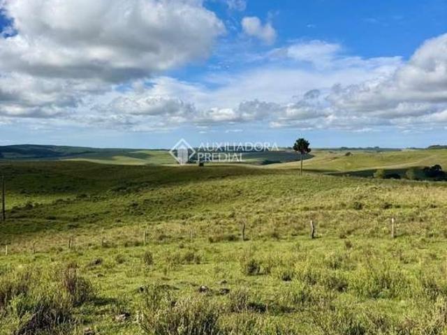 Terreno / Lote para Venda em São Francisco de Paula/RS Barragem do Salto