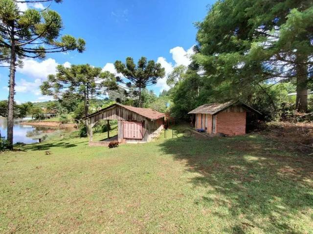 Terreno / Lote para Venda em São Francisco de Paula/RS Barragem do Salto
