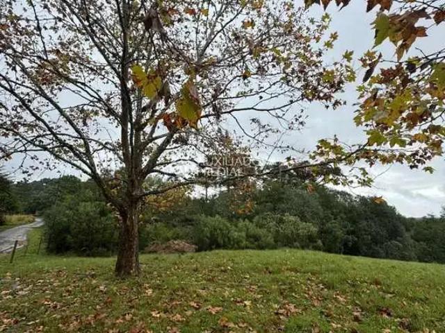 Terreno / Lote para Venda em São Francisco de Paula/RS Barragem do Salto