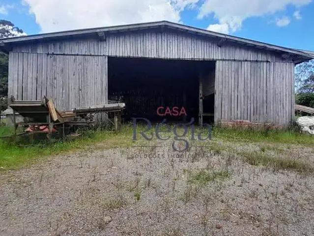 Terreno / Lote para Venda em São Francisco de Paula/RS Eletra
