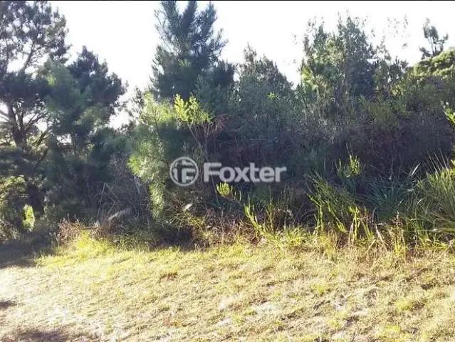 Terreno / Lote para Venda em São Francisco de Paula/RS Loteamento Colinas de são Francisco