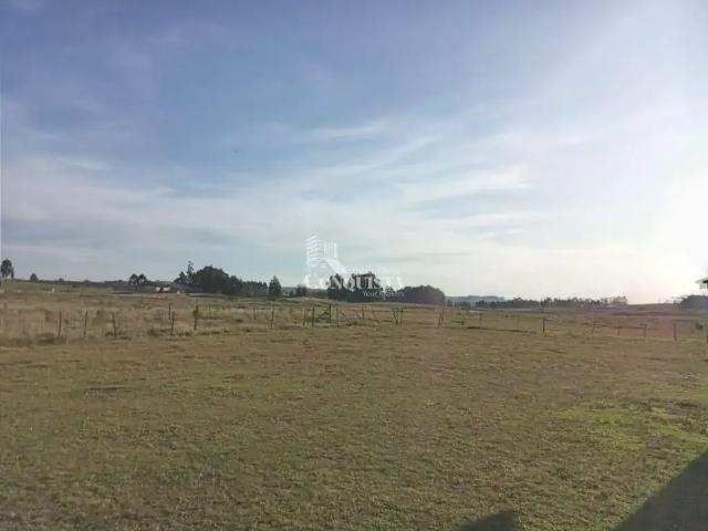 Terreno / Lote para Venda em São Francisco de Paula/RS Lajeado Grande 6 Quartos
