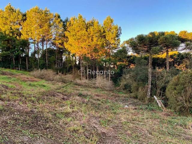 Terreno / Lote para Venda em São Francisco de Paula/RS São Bernardo