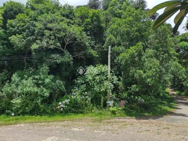 Terreno / Lote para Venda em São Francisco de Paula/RS São Bernardo