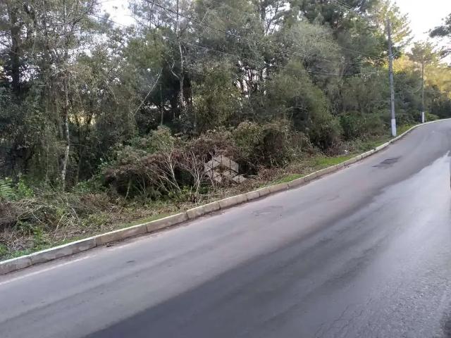 Terreno / Lote para Venda em São Francisco de Paula/RS São Bernardo