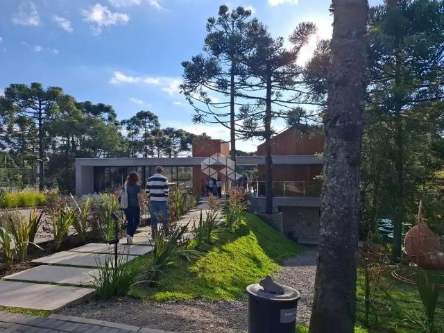 Terreno / Lote para Venda em São Francisco de Paula/RS São Bernardo