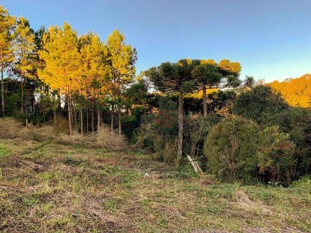 Terreno / Lote para Venda em São Francisco de Paula/RS São Bernardo
