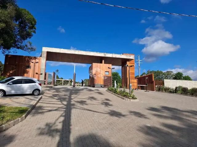 Terreno / Lote para Venda em São Francisco de Paula/RS São Bernardo