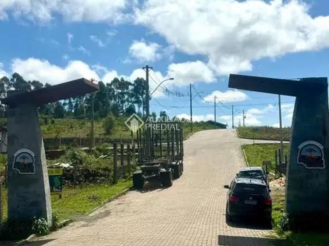 Terreno / Lote para Venda em São Francisco de Paula/RS Santa Isabel