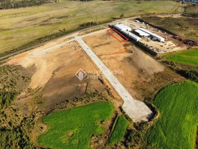 Terreno / Lote para Venda em São Francisco de Paula/RS Primeiro Distrito