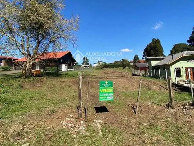 Terreno / Lote para Venda em São Francisco de Paula/RS Remanso Indianópolis