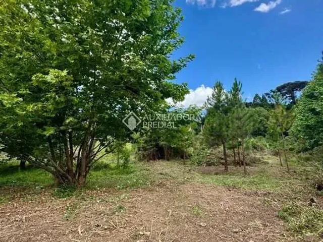 Terreno / Lote para Venda em São Francisco de Paula/RS Remanso Indianópolis