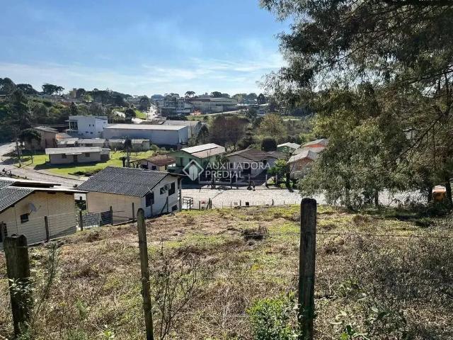 Terreno / Lote para Venda em São Francisco de Paula/RS Rincão dos Kroeff