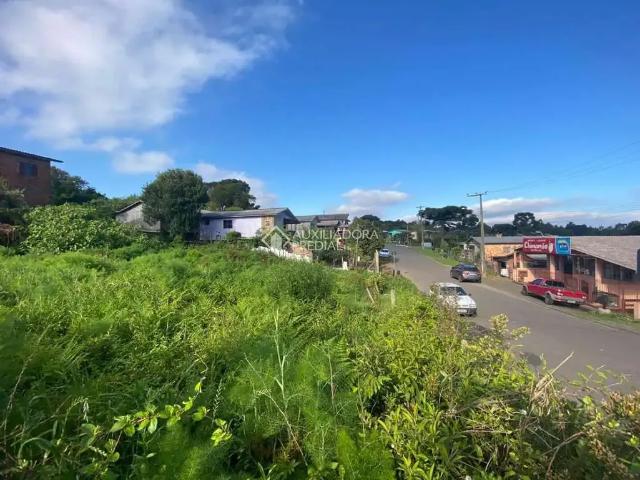 Terreno / Lote para Venda em São Francisco de Paula/RS Rincão dos Kroeff