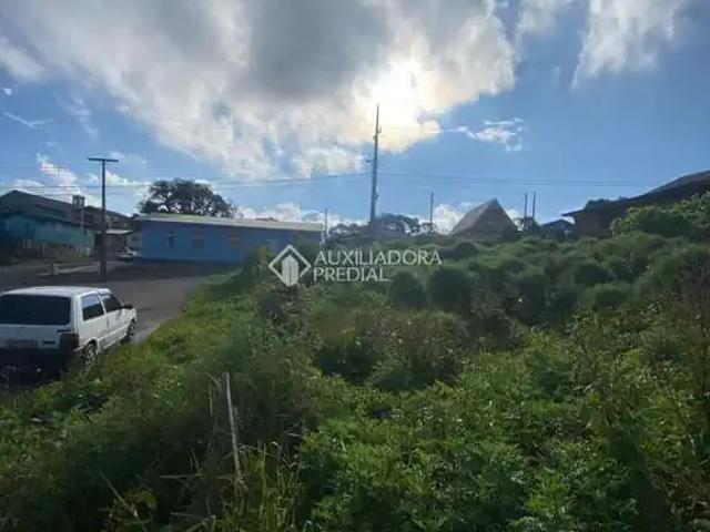 Terreno / Lote para Venda em São Francisco de Paula/RS Rincão dos Kroeff