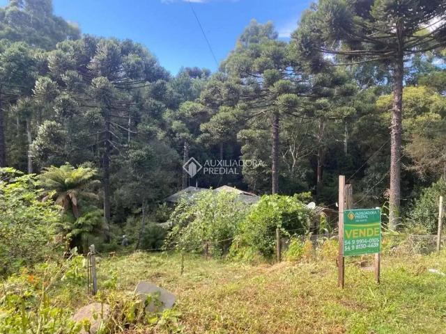 Terreno / Lote para Venda em São Francisco de Paula/RS Rincão dos Kroeff
