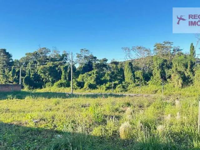 Terreno / Lote para Venda em São Francisco do Sul/SC Capri