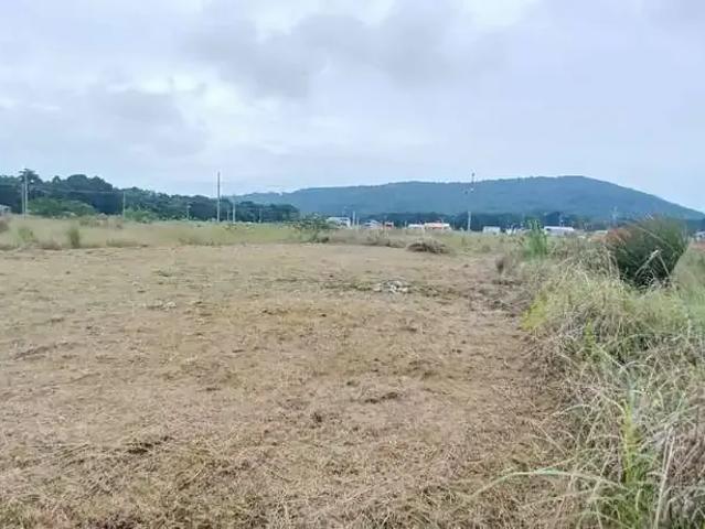 Terreno / Lote para Venda em São Francisco do Sul/SC Capri
