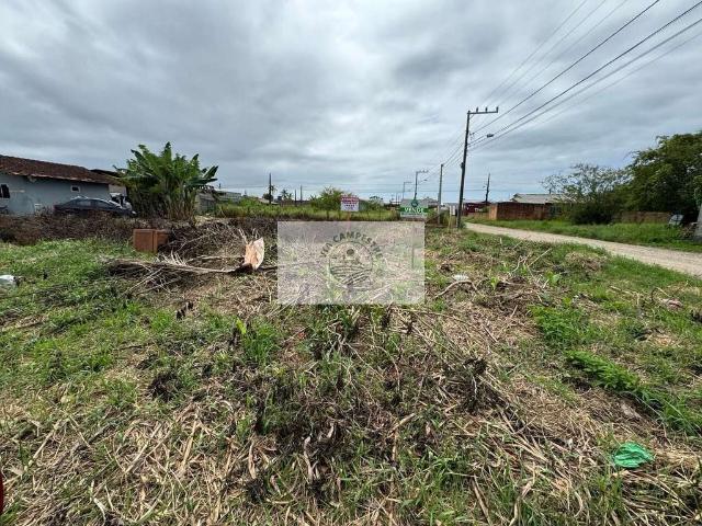 Terreno / Lote para Venda em São Francisco do Sul/SC Centro