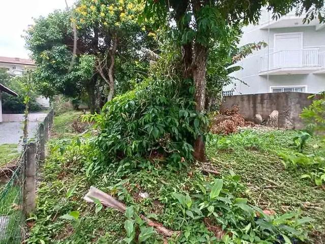 Terreno / Lote para Venda em São Francisco do Sul/SC Itaguaçu