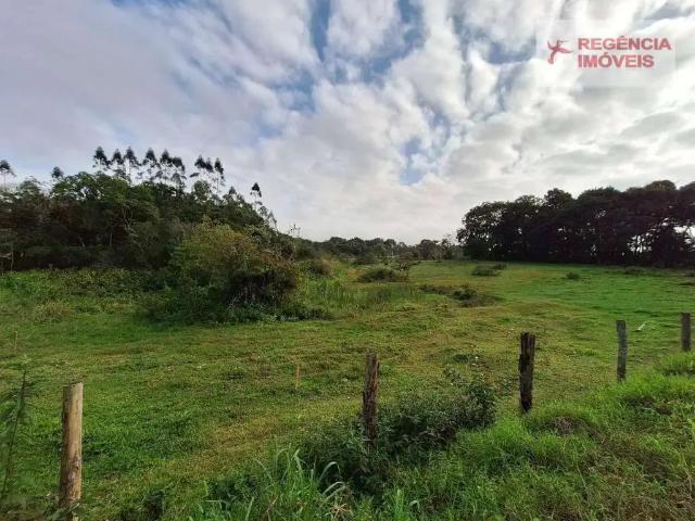 Terreno / Lote para Venda em São Francisco do Sul/SC Iperoba