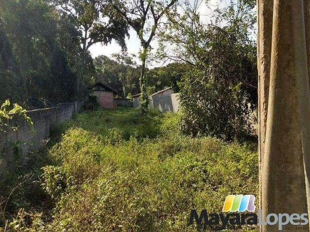 Terreno / Lote para Venda em São Francisco do Sul/SC Paulas