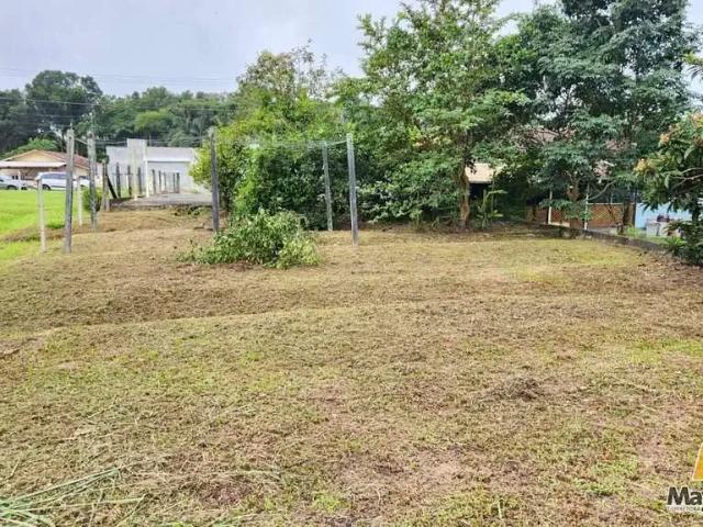 Terreno / Lote para Venda em São Francisco do Sul/SC Paulas