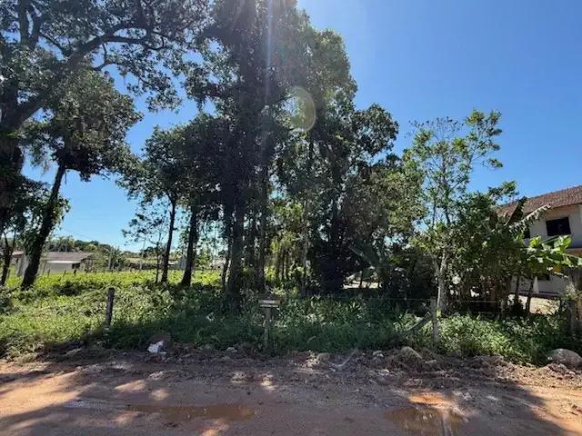 Terreno / Lote para Venda em São Francisco do Sul/SC Praia Bonita