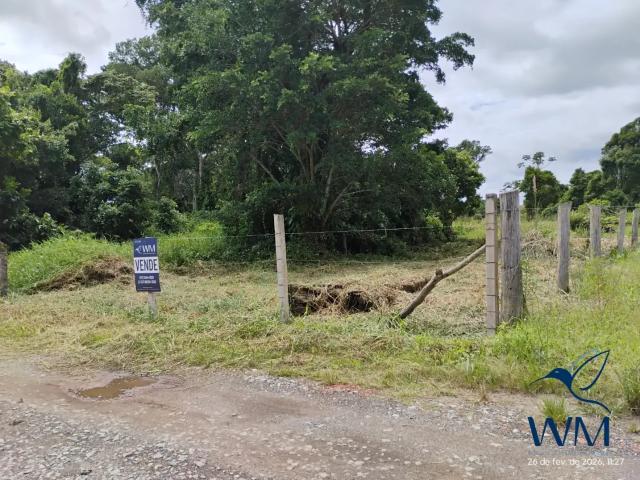 Terreno / Lote para Venda em São Francisco do Sul/SC Praia do Ervino