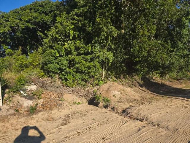 Terreno / Lote para Venda em São Francisco do Sul/SC Praia do Ervino