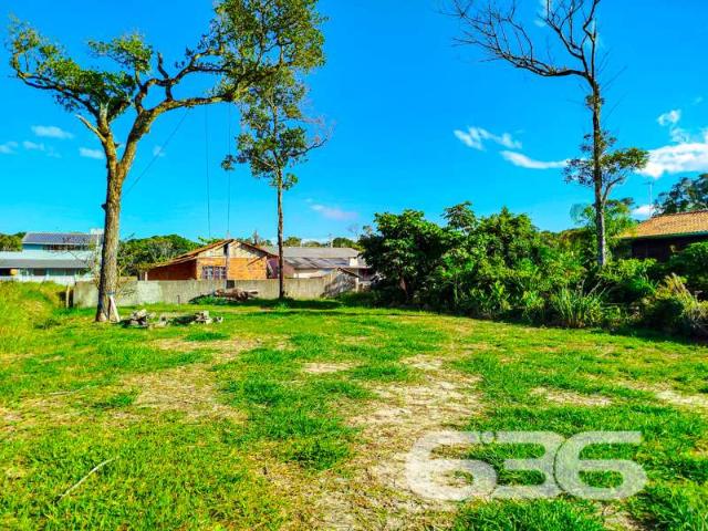 Terreno / Lote para Venda em São Francisco do Sul/SC Praia do Ervino