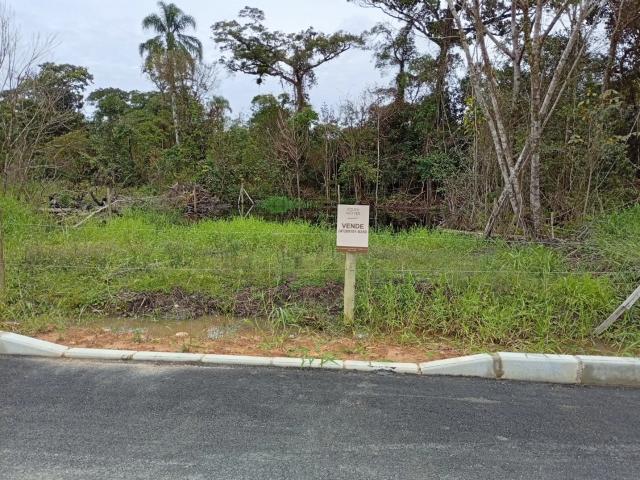 Terreno / Lote para Venda em São Francisco do Sul/SC Praia do Ervino
