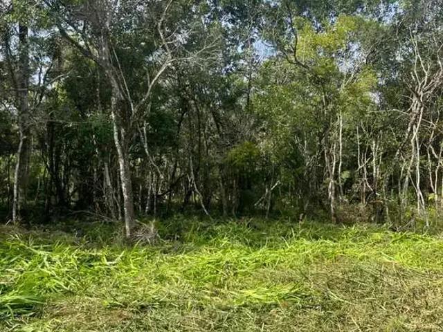 Terreno / Lote para Venda em São Francisco do Sul/SC Praia do Ervino