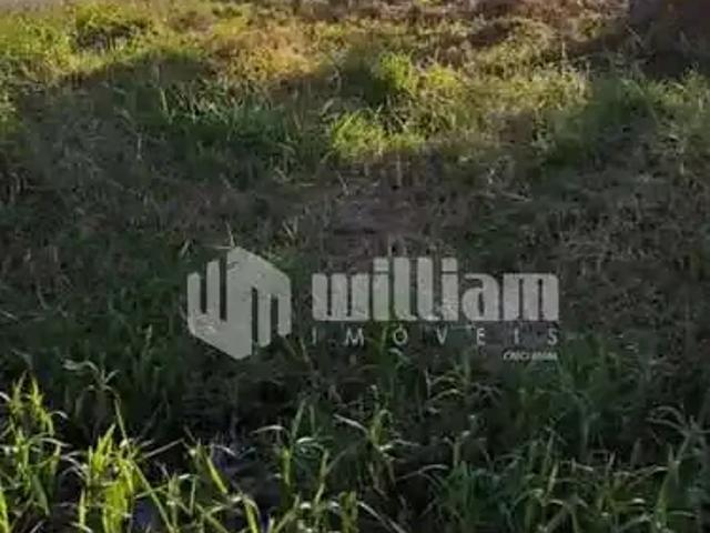 Terreno / Lote para Venda em São Francisco do Sul/SC Praia do Ervino