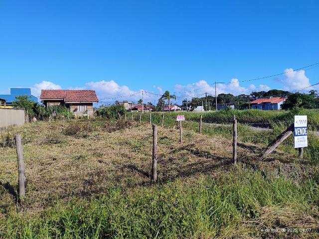 Terreno / Lote para Venda em São Francisco do Sul/SC Praia do Ervino