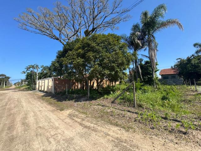 Terreno / Lote para Venda em São Francisco do Sul/SC Praia do Ervino