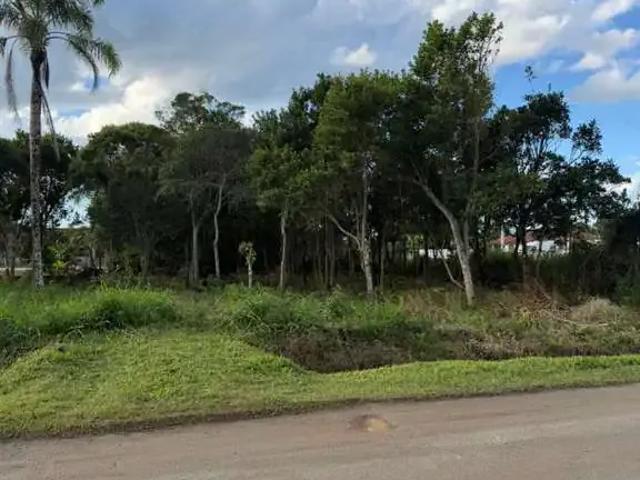 Terreno / Lote para Venda em São Francisco do Sul/SC Praia do Ervino