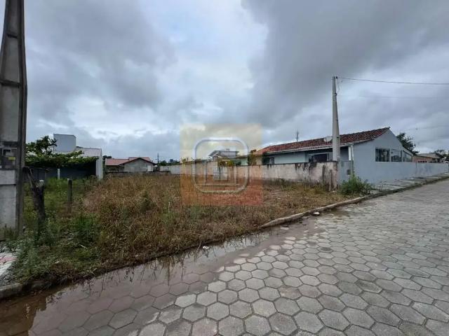 Terreno / Lote para Venda em São Francisco do Sul/SC Praia do Ervino