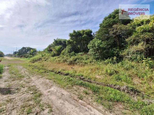 Terreno / Lote para Venda em São Francisco do Sul/SC Praia do Ervino