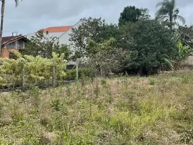Terreno / Lote para Venda em São Francisco do Sul/SC Praia do Ervino