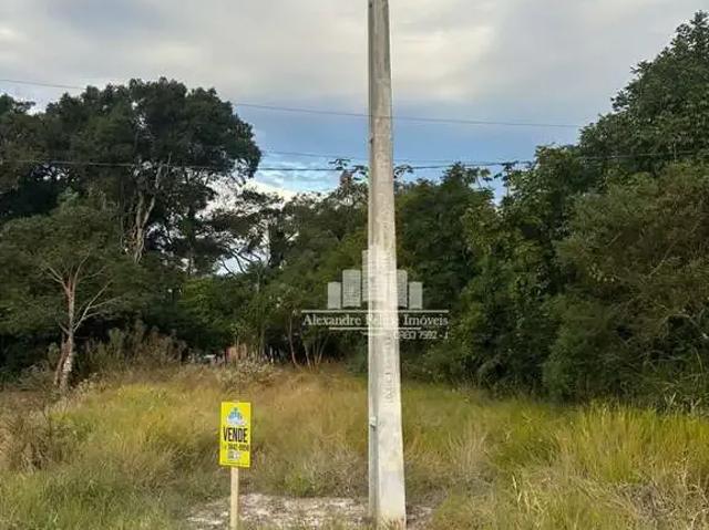 Terreno / Lote para Venda em São Francisco do Sul/SC Praia do Ervino
