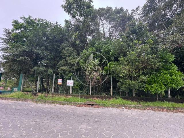 Terreno / Lote para Venda em São Francisco do Sul/SC Praia do Ervino