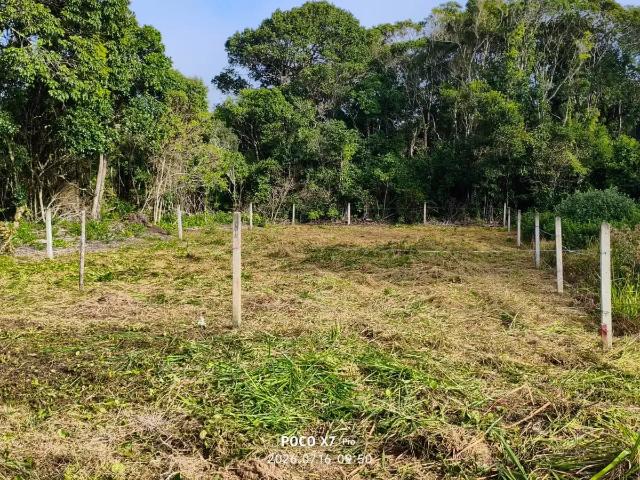 Terreno / Lote para Venda em São Francisco do Sul/SC Praia do Ervino