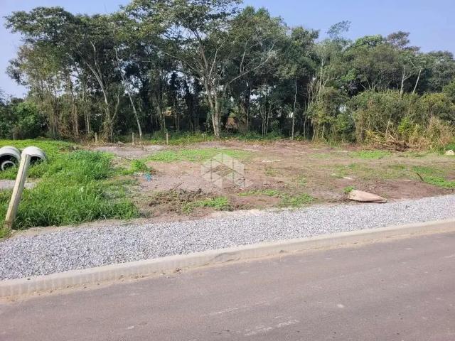Terreno / Lote para Venda em São Francisco do Sul/SC Reta
