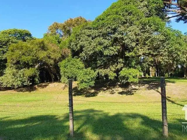Terreno / Lote para Venda em São Francisco do Sul/SC Reta