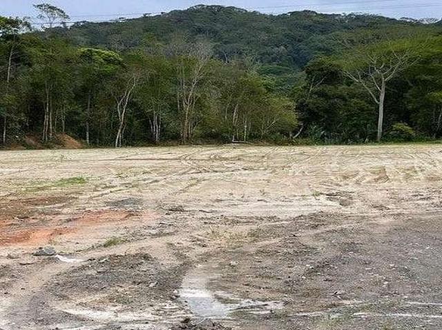 Terreno / Lote para Venda em São Francisco do Sul/SC Rocio Grande