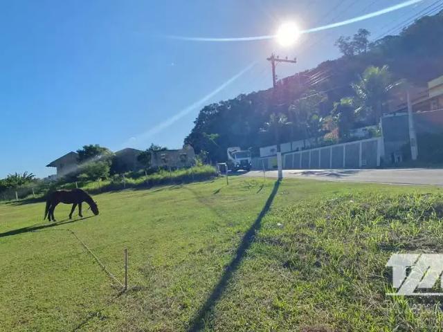 Terreno / Lote para Venda em São Francisco do Sul/SC Rocio Grande