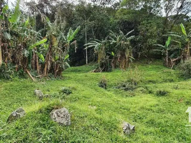 Terreno / Lote para Venda em São Francisco do Sul/SC Rocio Pequeno